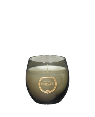 Holly Moss Gray Amber Powder Candle - Maison Berger