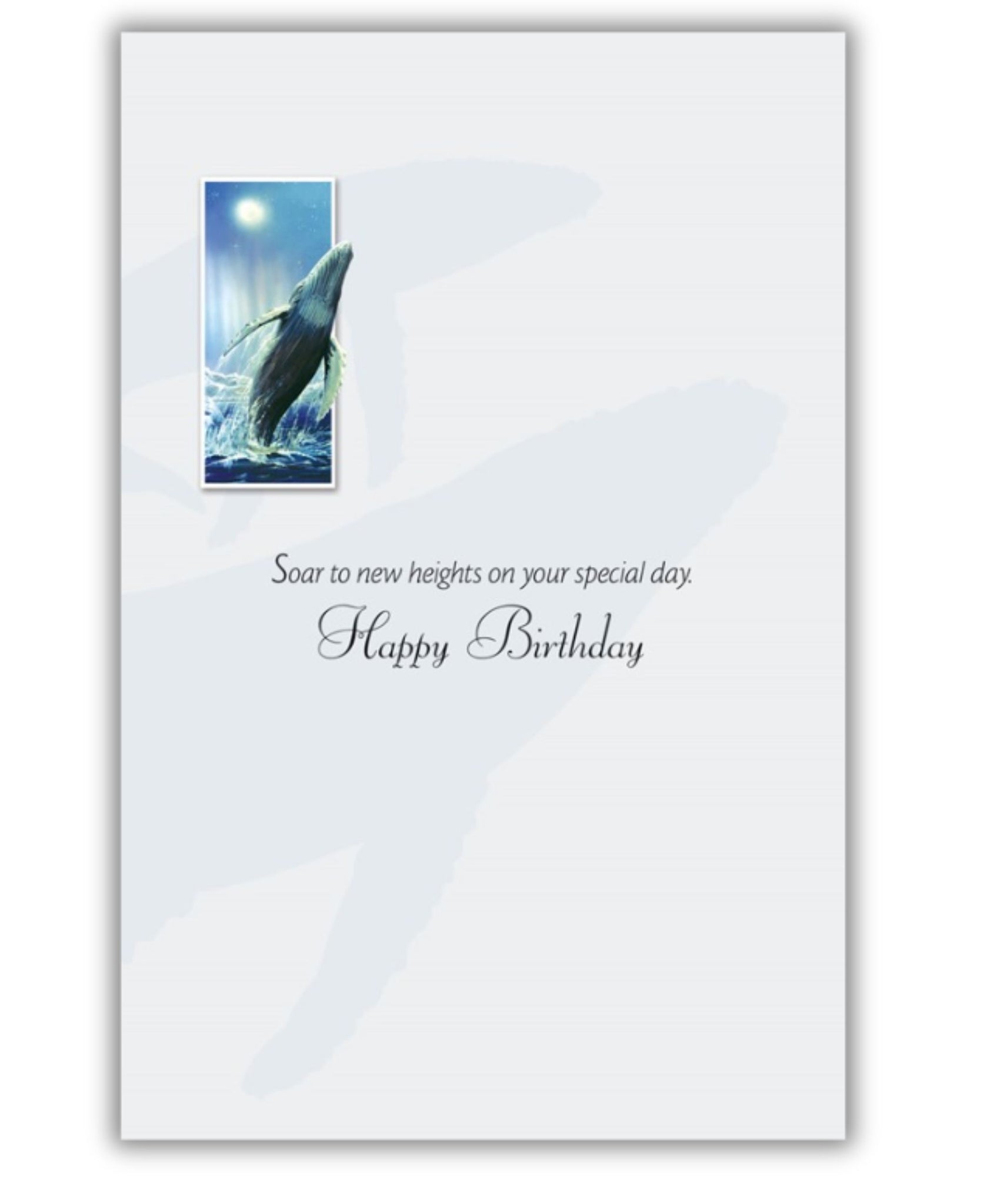 Pumpernickel Humpback Whale Birthday Card