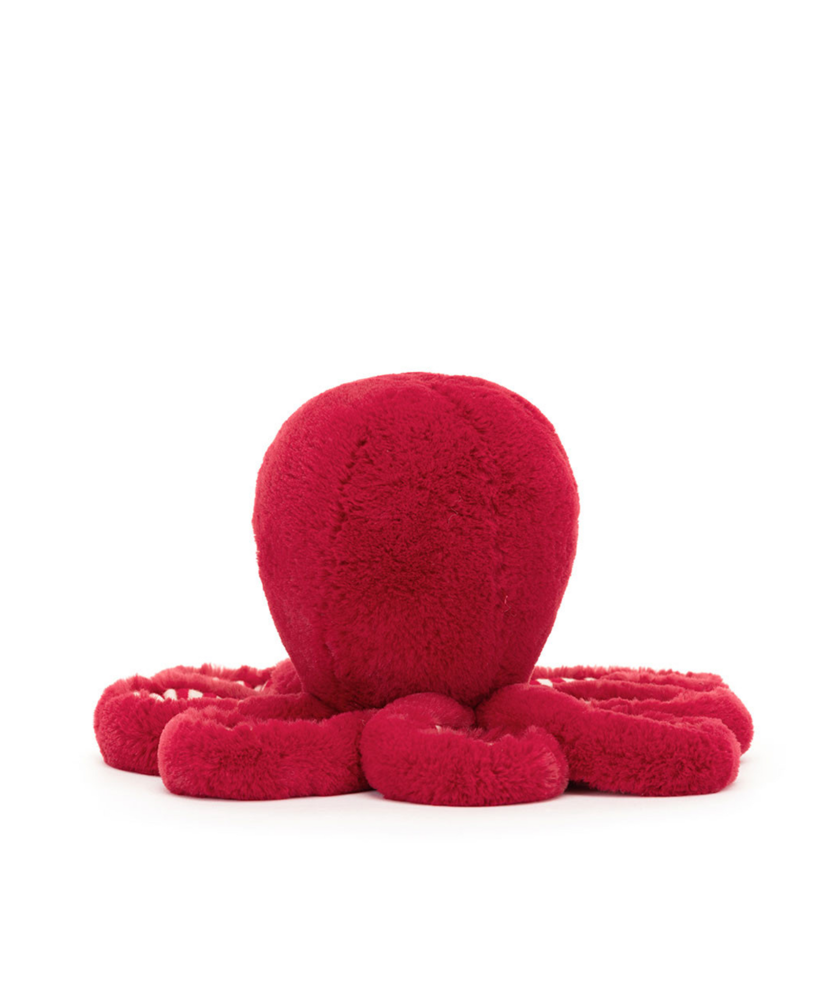 Cranberry Octopus Little