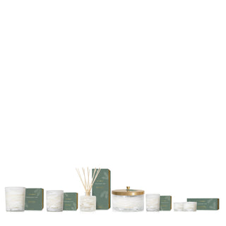 Thymes Frasier Fir Tidings Poured Candle 13oz