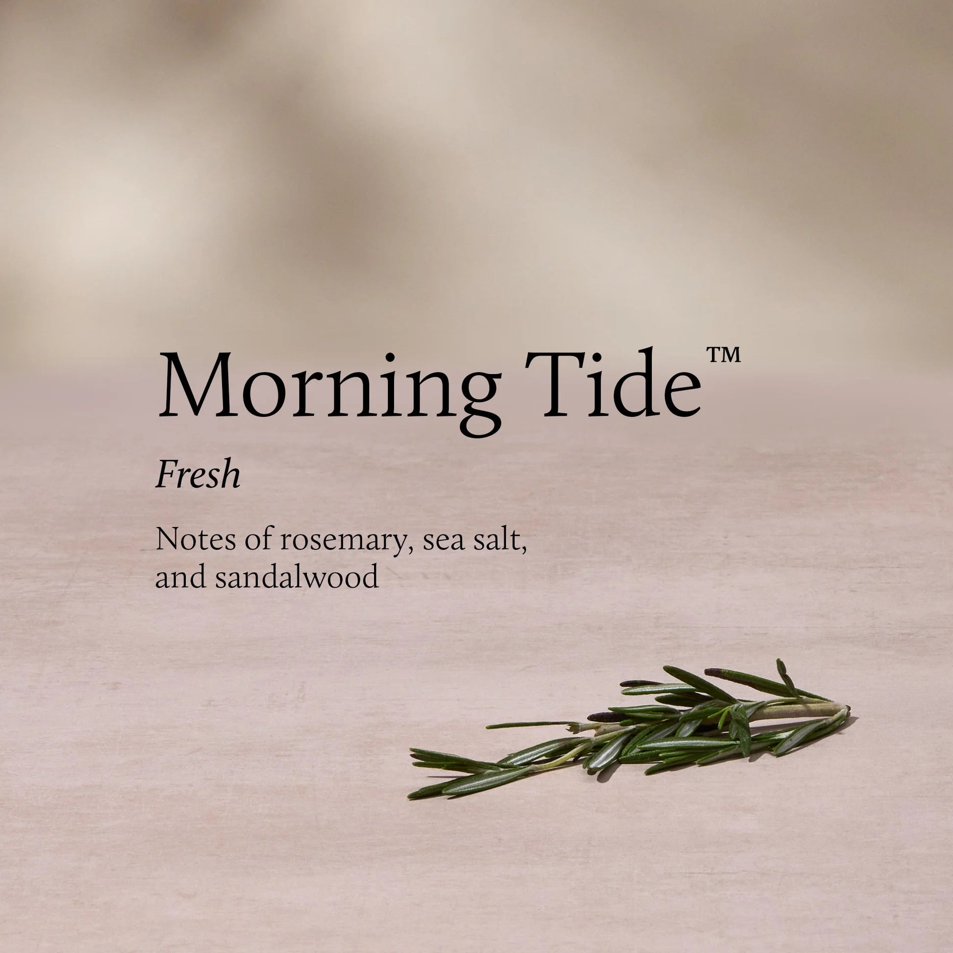 Thymes Morning Tide Poured 2 Wick Candle 13 oz