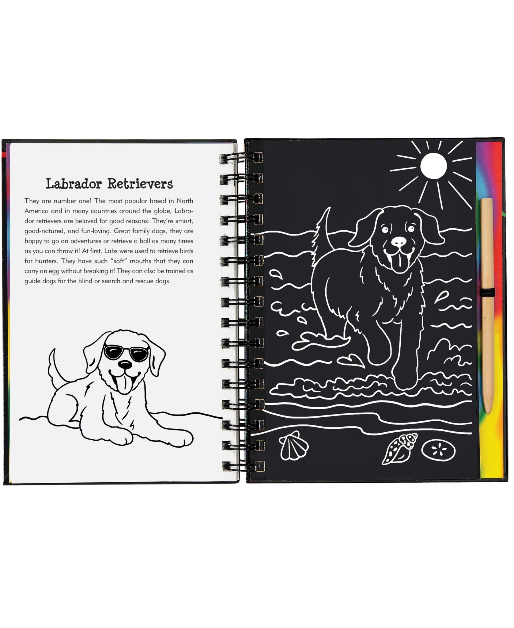 Peter Pauper Press Puppies Scratch Art Home Treasures & More