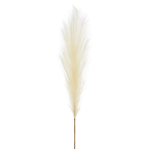 Pampas Grass Stem