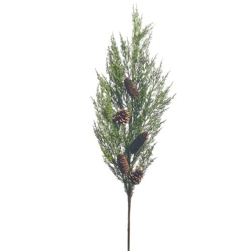 Cedar with Pinecone Branch