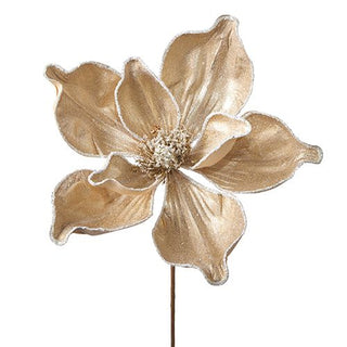 Iced Champagne Gold Magnolia Stem