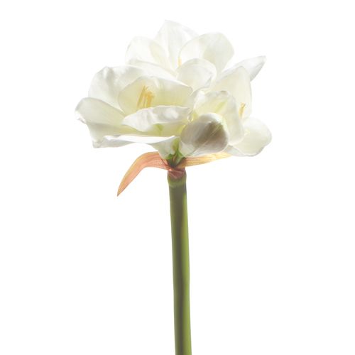 Real Touch White Amaryllis Stem