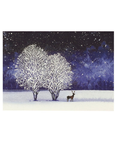 Peter Pauper Press Starry Night Deluxe Boxed Holiday Cards