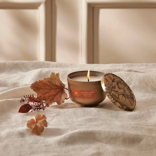Thymes Pumpkin Laurel Tin Candle