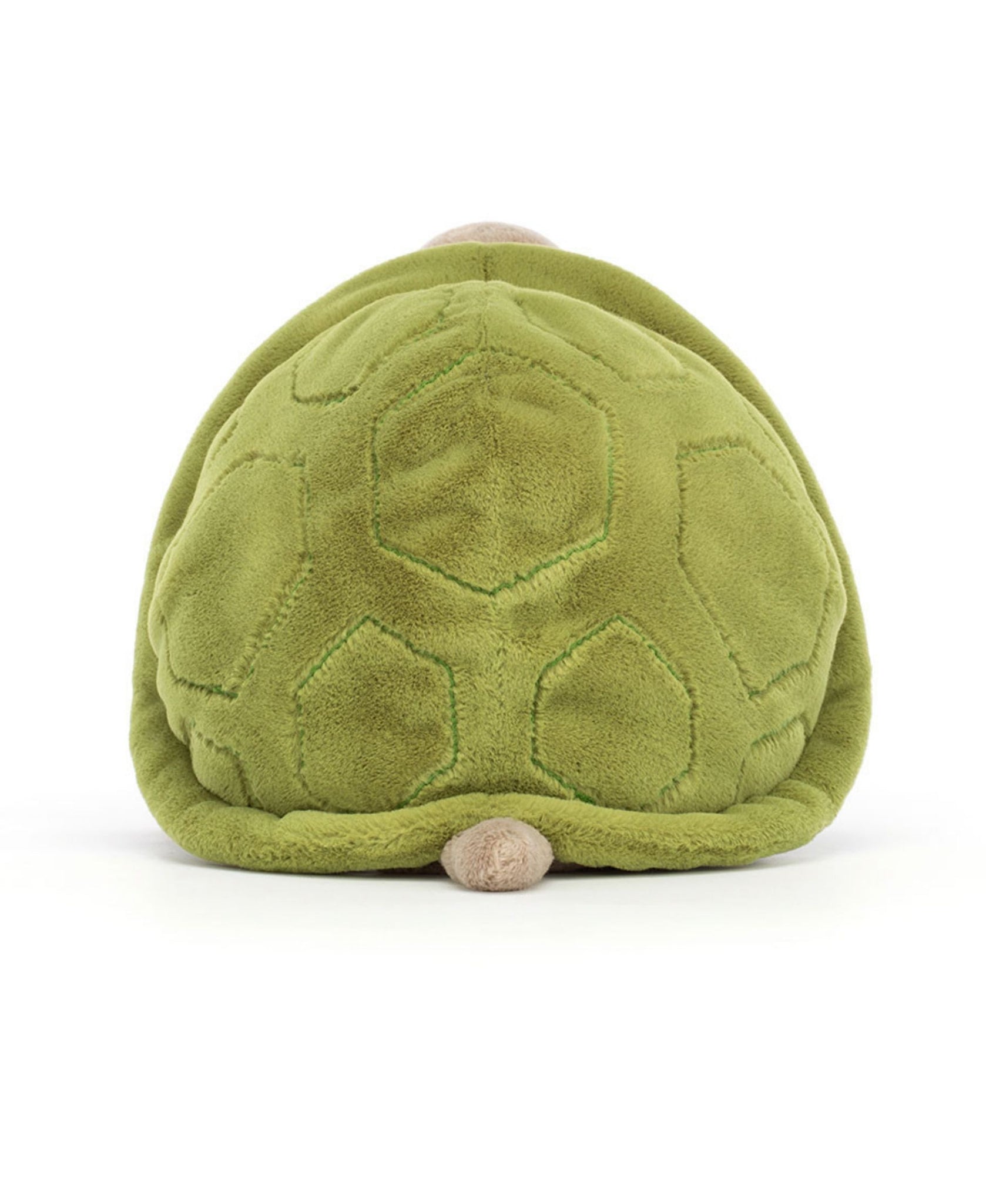 Jellycat Timmy Turtle