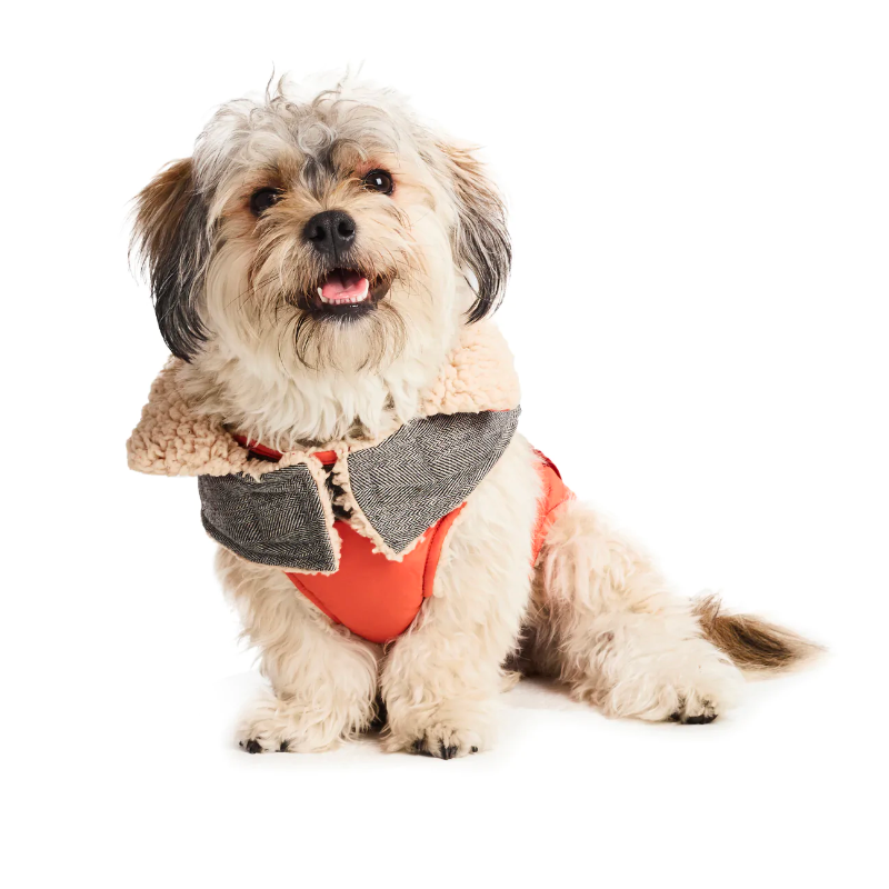 Sherpa Lined Dog Coat - Rust Orange | by Hotel Doggy