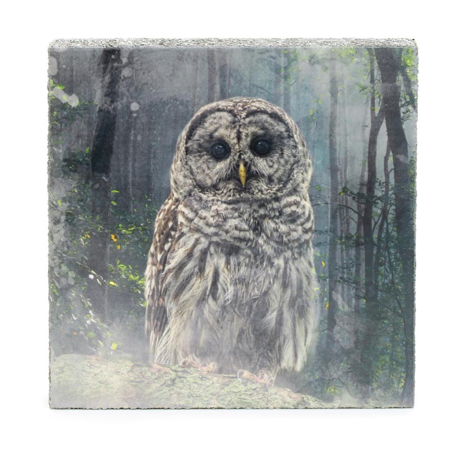 Cedar Mountain Forest Owl Mini Art Block