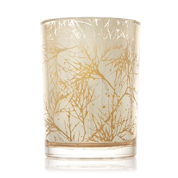Thymes Forest Cedar Candle
