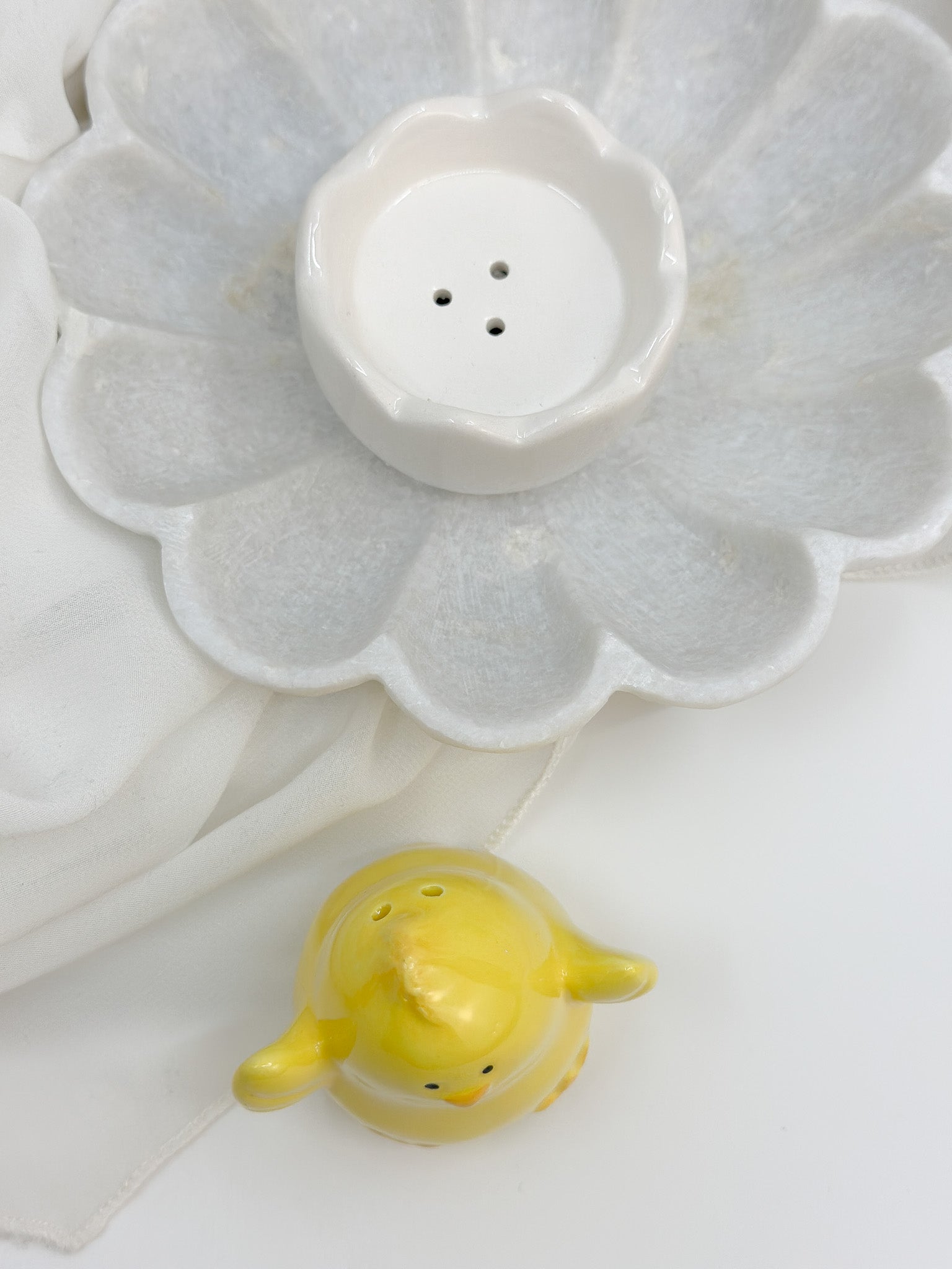 Easter Baby Chick and Egg Salt and Pepper Shakers