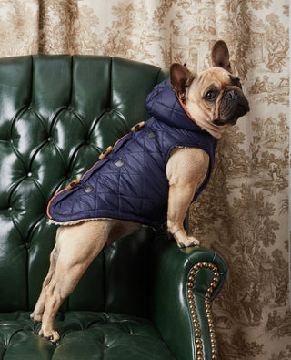 Quilted Doggy Parka with Toggles and Sherpa Lining - by Hotel Doggy