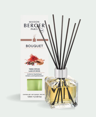 Maison Berger - 'Land of Spices' Cube Reed Diffuser