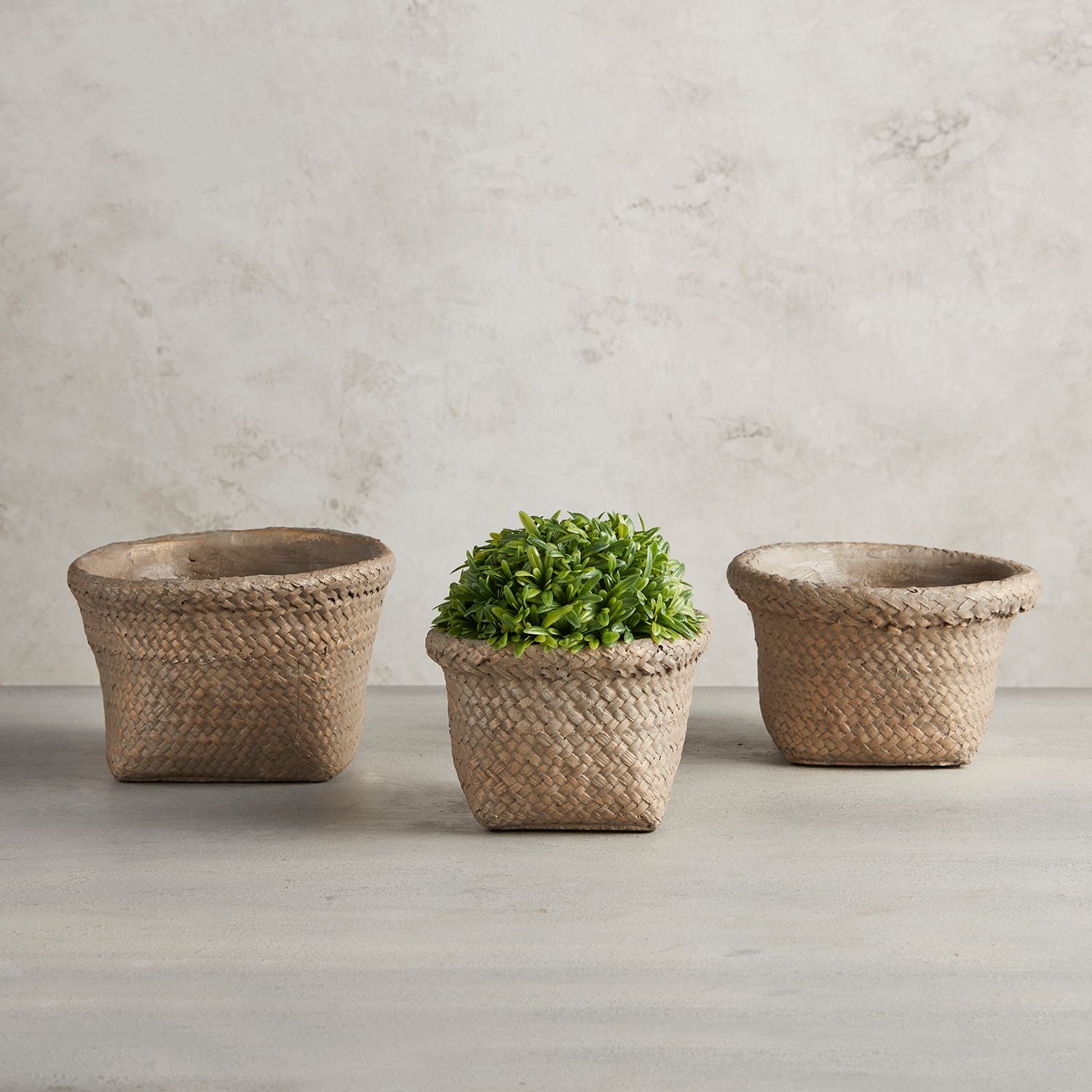 Basket Planter - Medium