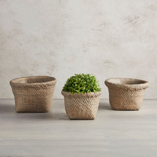 Basket Planter - Large
