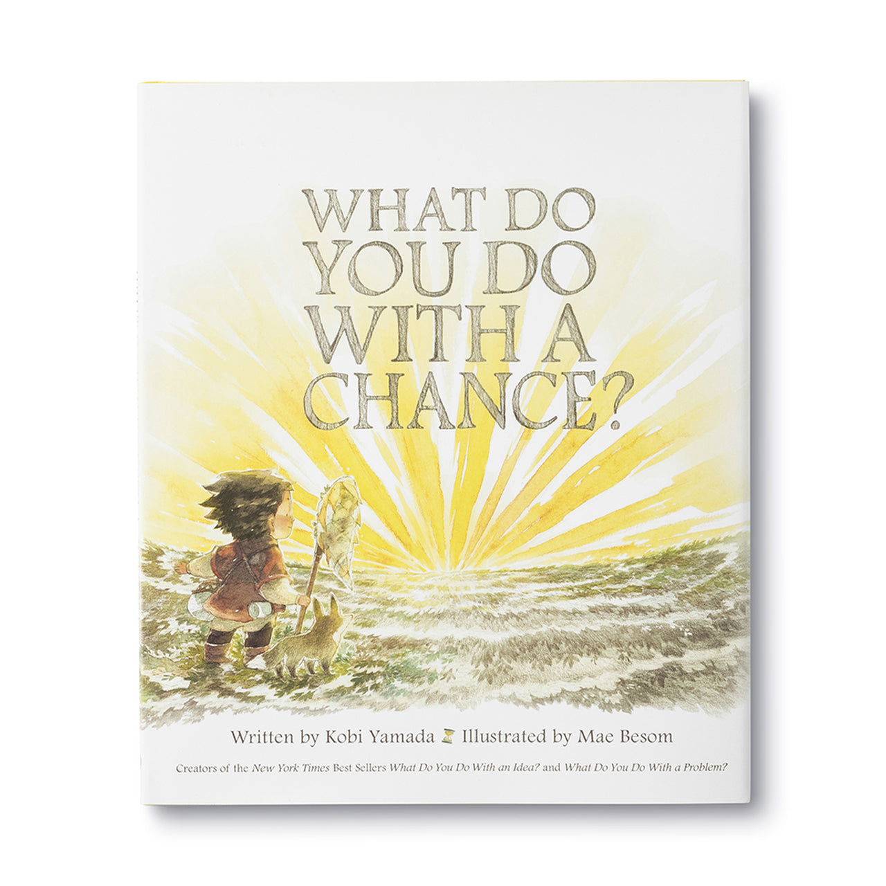 Compendium What Do You Do With A Chance Book