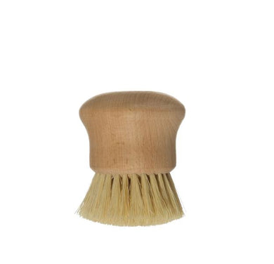 Beech Wood Dish Brush