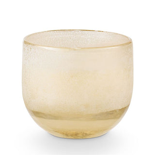 Illume Coconut Milk Mango Mojave Glass Candle - Small