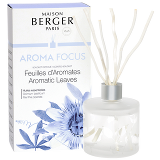 Aroma Focus Pre-filled Reed Diffuser - Aromatic Leaves