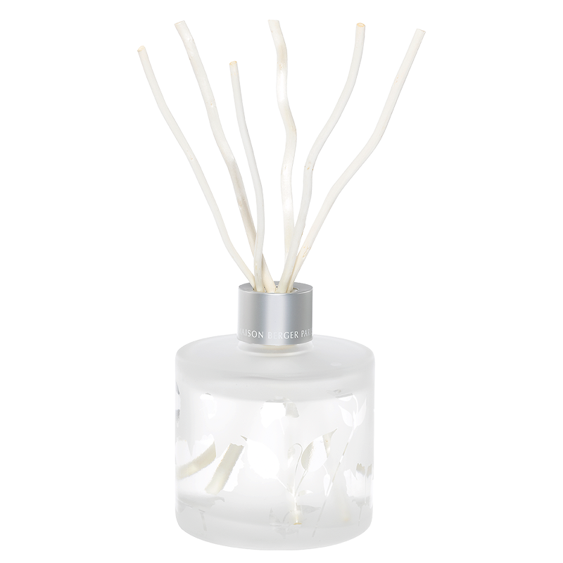 Aroma Focus Pre-filled Reed Diffuser - Aromatic Leaves