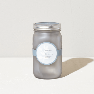 Modern Sprout Garden Jar - Mint
