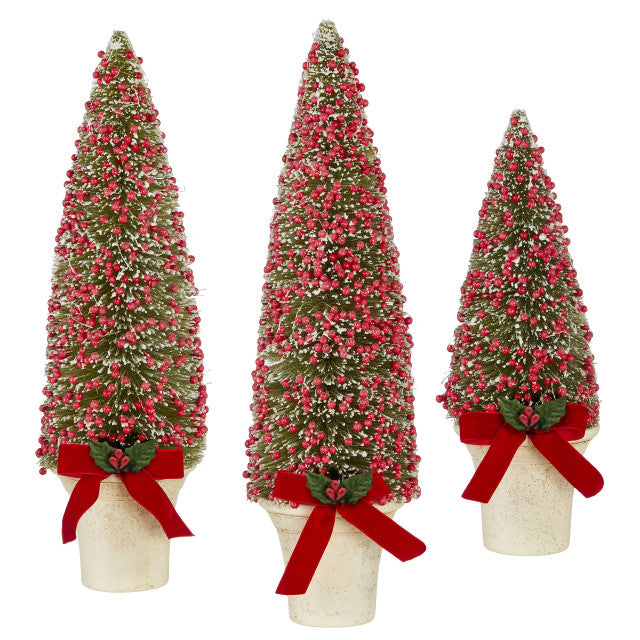 Potted Bottle Brush trees with Red Berries - Set of 3