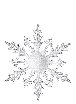 Snowflake Ornament - 12