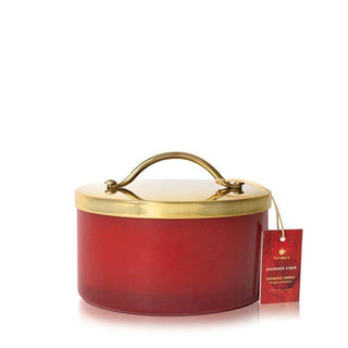 Thymes Simmered Cider Harvest Red Poured 4 Wick Candle